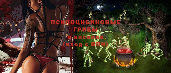 дурь Алзамай